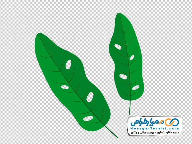 تصویر وکتوری برگ با فرمت png عکس وکتوری برگ