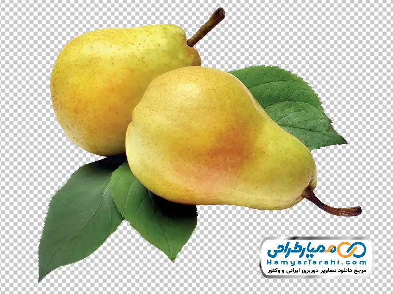 تصویر با کیفیت گلابی با فرمت png تصویر png گلابی