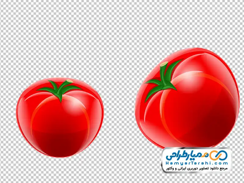 عکس وکتوری گوجه فرنگی تصویر png گوجه فرنگی