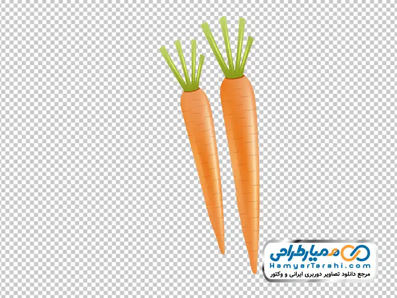 عکس وکتوری هویج با فرمت png دانلود عکس وکتوری هویج