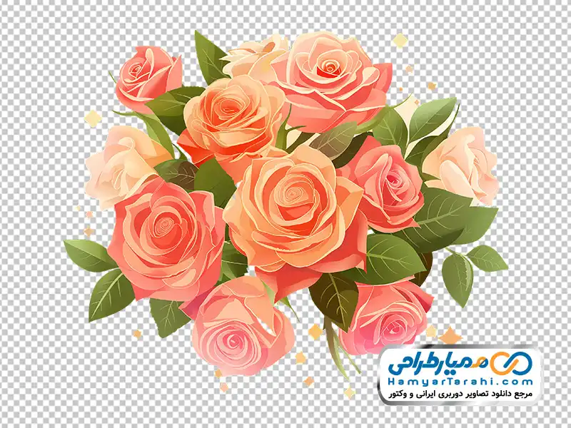 دانلود تصویر گل های رز باغی با فرمت png دانلود تصویر وکتوری گل های رز باغی