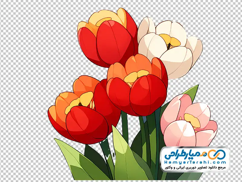 عکس نقاشی گل های لاله با فرمت png دانلود تصویر نقاشی گل های لاله با فرمت png