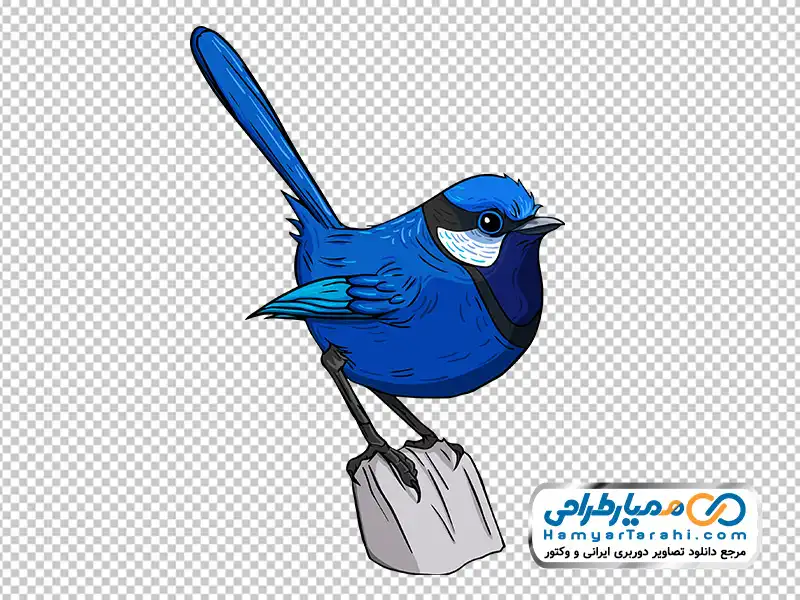 تصویر با کیفیت پرنده نشسته روی سنگ با فرمت png دانلود تصویر با کیفیت پرنده نشسته روی سنگ