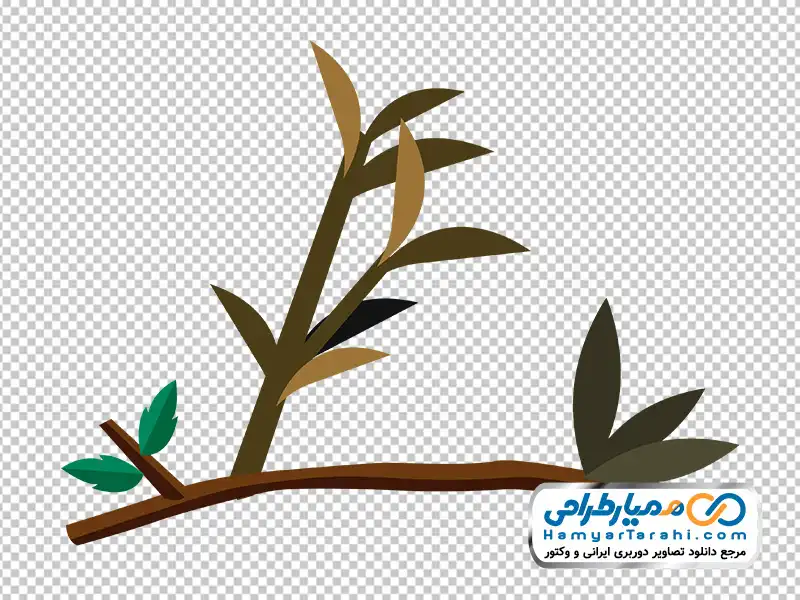 عکس وکتوری شاخه درخت با برگ های کوچک با فرمت png دانلود عکس وکتوری شاخه درخت با برگ های کوچک