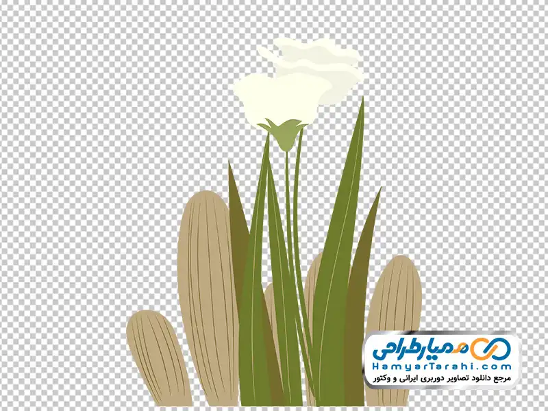 تصویر وکتوری گل سفید چمنزار با فرمت png عکس وکتوری گل سفید چمنزار