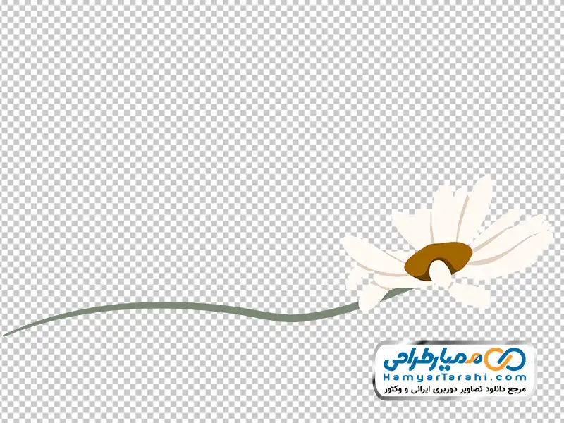 تصویر وکتوری گل بابونه با فرمت png دانلود تصویر وکتوری گل بابونه