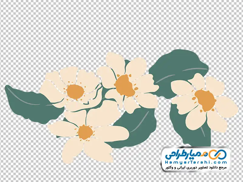 تصویر وکتوری گل های سفید با برگ سبز با فرمت png دانلود تصویر وکتوری گل های سفید با برگ سبز