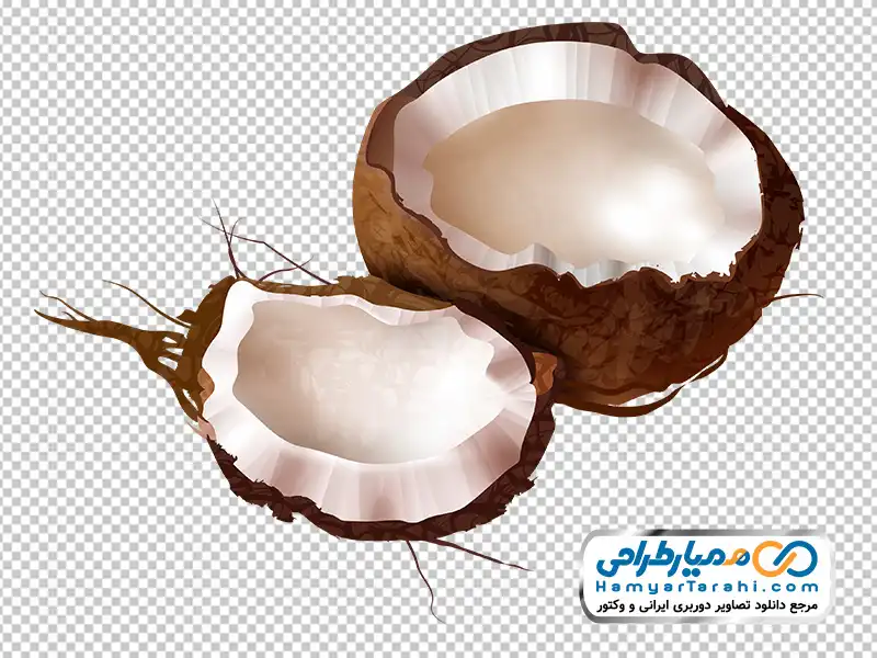 دانلود تصویر png نارگیل شکسته عکس وکتوری نارگیل شکسته با فرمت png