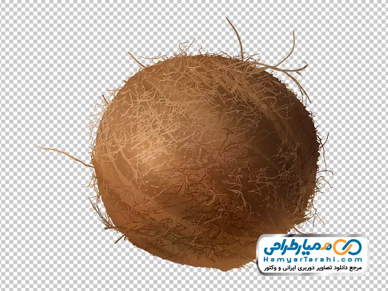 دانلود عکس png نارگیل تصویر نارگیل با فرمت png