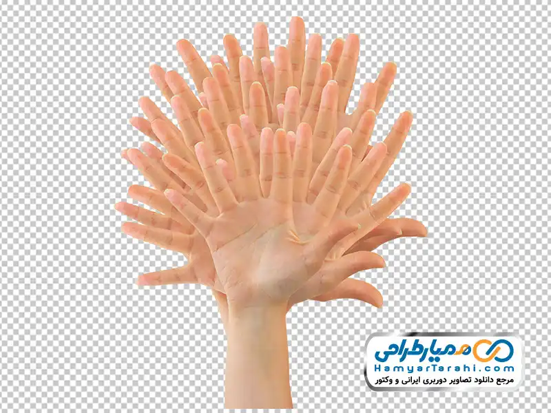 عکس بدون پس زمینه دست ها و انگشت ها پشت هم به شکل درخت تصویر png دست ها و انگشت ها پشت هم به شکل درخت