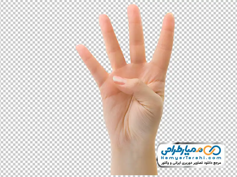 تصویر png دست با چهار انگشت باز دانلود عکس png دست با چهار انگشت باز