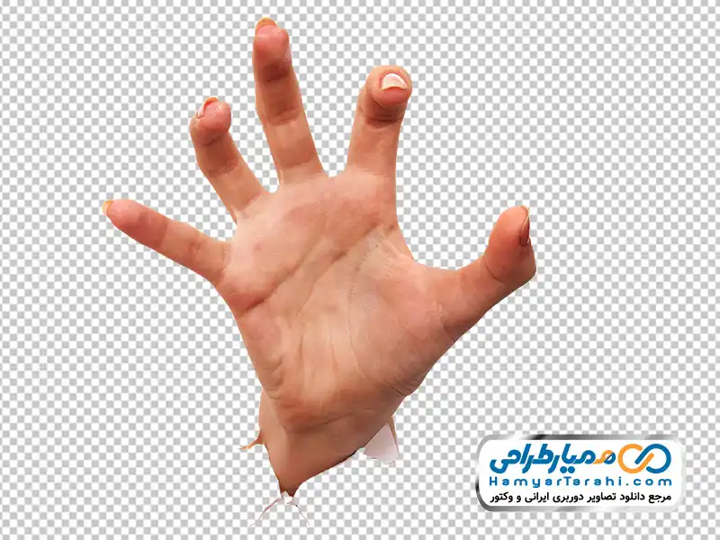 دانلود تصویر با کیفیت دست بیرون آمده از کاغذ به حالت چنگ زدن عکس با کیفیت دست بیرون آمده از کاغذ به حالت چنگ زدن