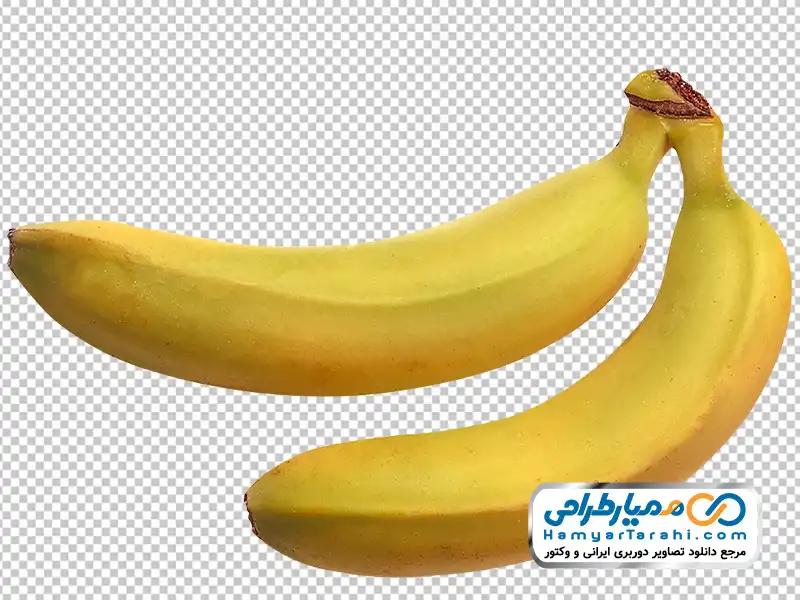 دانلود عکس با کیفیت موز عکس با کیفیت موز با فرمت png