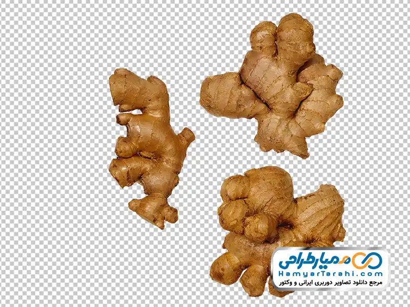 دانلود عکس با کیفیت زنجبیل عکس با کیفیت زنجبیل با فرمت png