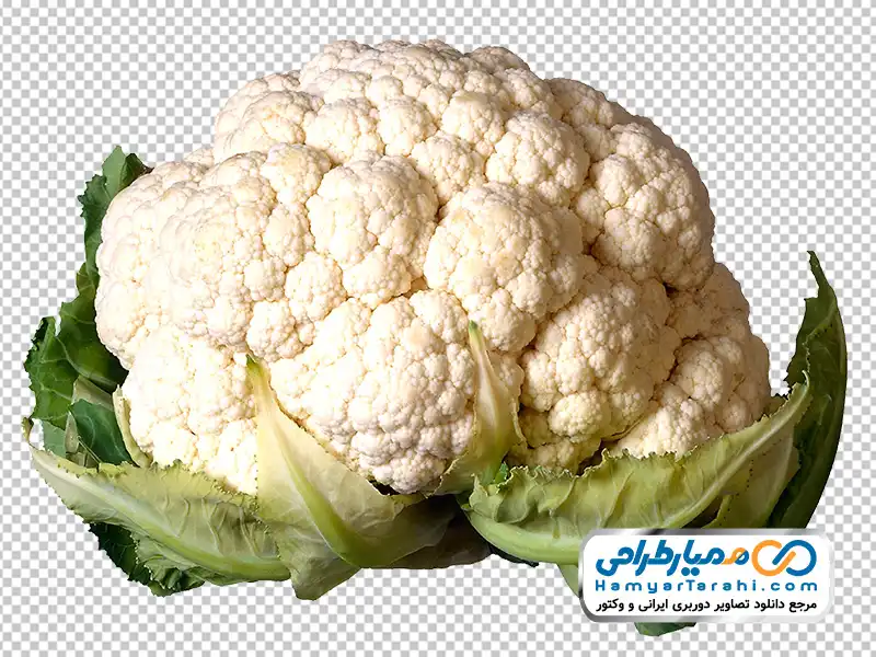 تصویر با کیفیت گل کلم با فرمت png دانلود تصویر با کیفیت گل کلم
