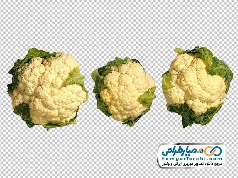 عکس بدون پس زمینه گل کلم با فرمت png دانلود عکس بدون پس زمینه گل کلم