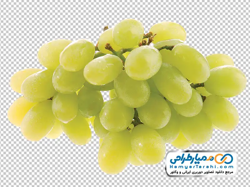 تصویر png انگور عسگری دانلود عکس png انگور عسگری