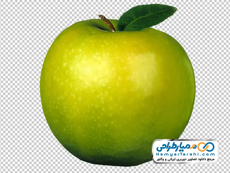 عکس با کیفیت سیب درختی سبز با فرمت png دانلود عکس png سیب درختی سبز