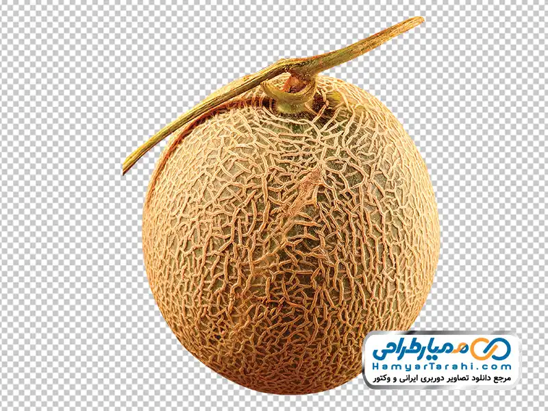 تصویر png خربزه دانلود تصویر با کیفیت خربزه