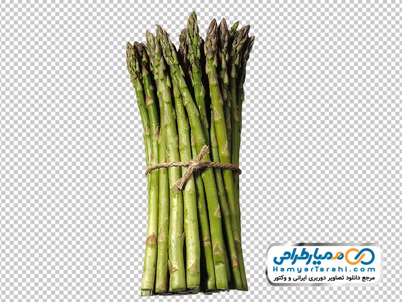 تصویر png مارچوبه دانلود عکس png مارچوبه
