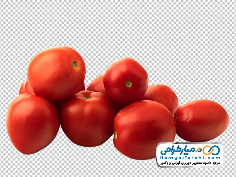 عکس png گوجه فرنگی عکس بدون پس زمینه گوجه فرنگی با فرمت png