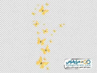 تصویر دوربری پروانه های زرد