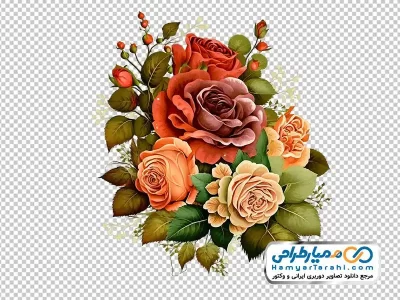 تصویر گل های رز قرمز