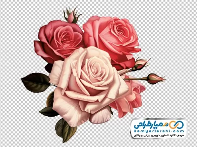 تصویر گل های آبرنگی با رنگ صورتی