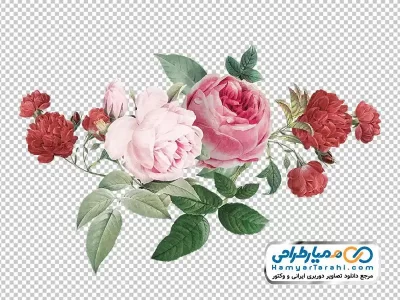 تصویر استیکر گل های زیبا برای طراحی دکوراسیون