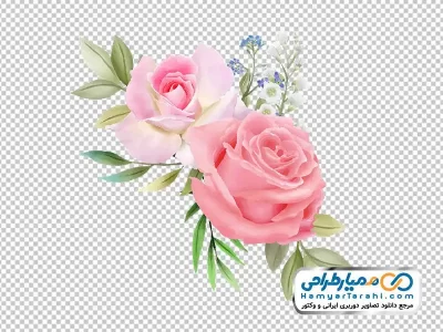 فایل png گل رز صورتی با برگ های سبز