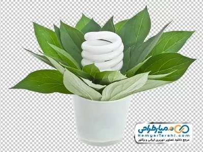 تصویر دوربری گلدان و لامپ کم مصرف
