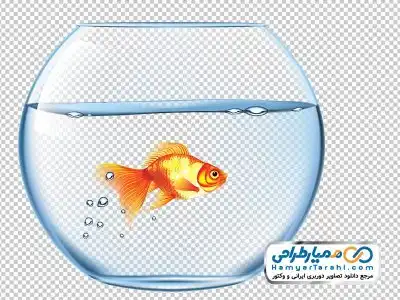 تصویر دوربری تنگ ماهی قرمز