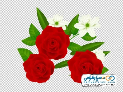 فایل png گل رز قرمز نقاشی شده