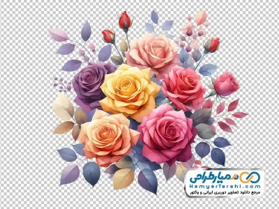 فایل png گل رز قرمز نقاشی شده