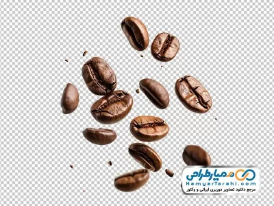 عکس png دانه های قهوه