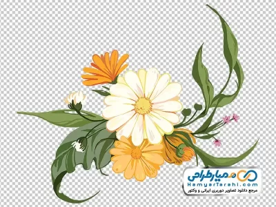 فایل png گل داودی با برگ های سبز