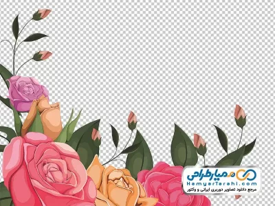 فایل png گل رز نارنجی و قرمز با برگ های سبز و غنچه