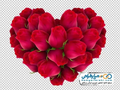فایل png نقاشی گل های رز قرمز قلبی
