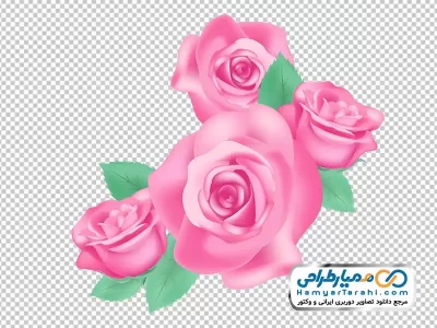 فایل png نقاشی گل های رز صورتی زیبا