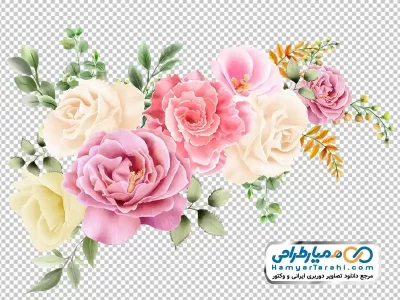 فایل png نقاشی گل رز زیبا زرد و صورتی با برگ های سبز