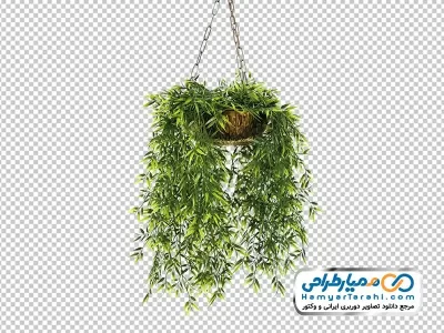 فایل png گل بامبو در گلدان آویزان