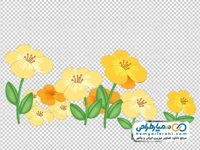 فایل png گل های زرد