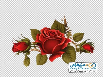 فایل png گل های رز قرمز با برگ های چرخشی سبز