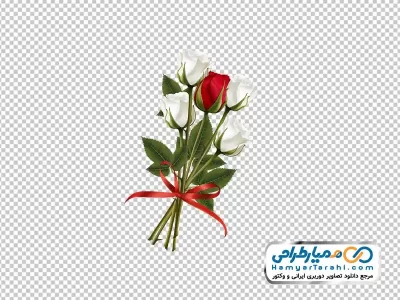 فایل png گل های رز قرمز و سفید