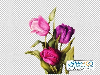 دانلود تصویر با کیفیت گل لاله آبرنگی
