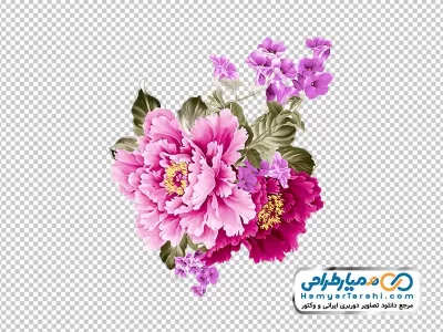 تصویر png گل های زیبا صورتی با برگ های سبز