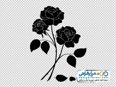 دانلود تصویر وکتوری گل رز سیاه