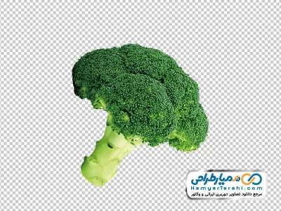 تصویر png کلم بروکلی