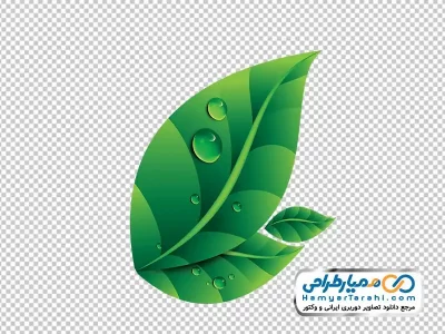دانلود تصویر وکتوری برگ چای