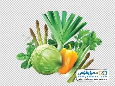 دانلود تصویر وکتوری سبزیجات